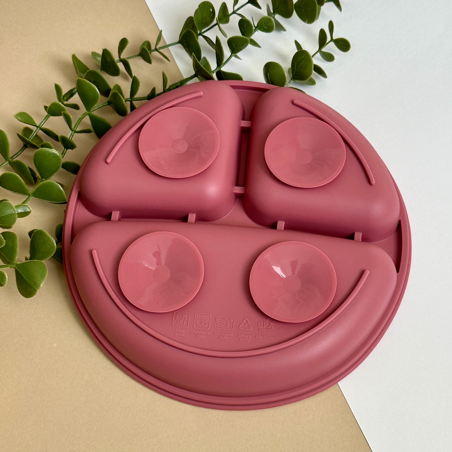 Assiette à Compartiments en Silicone
