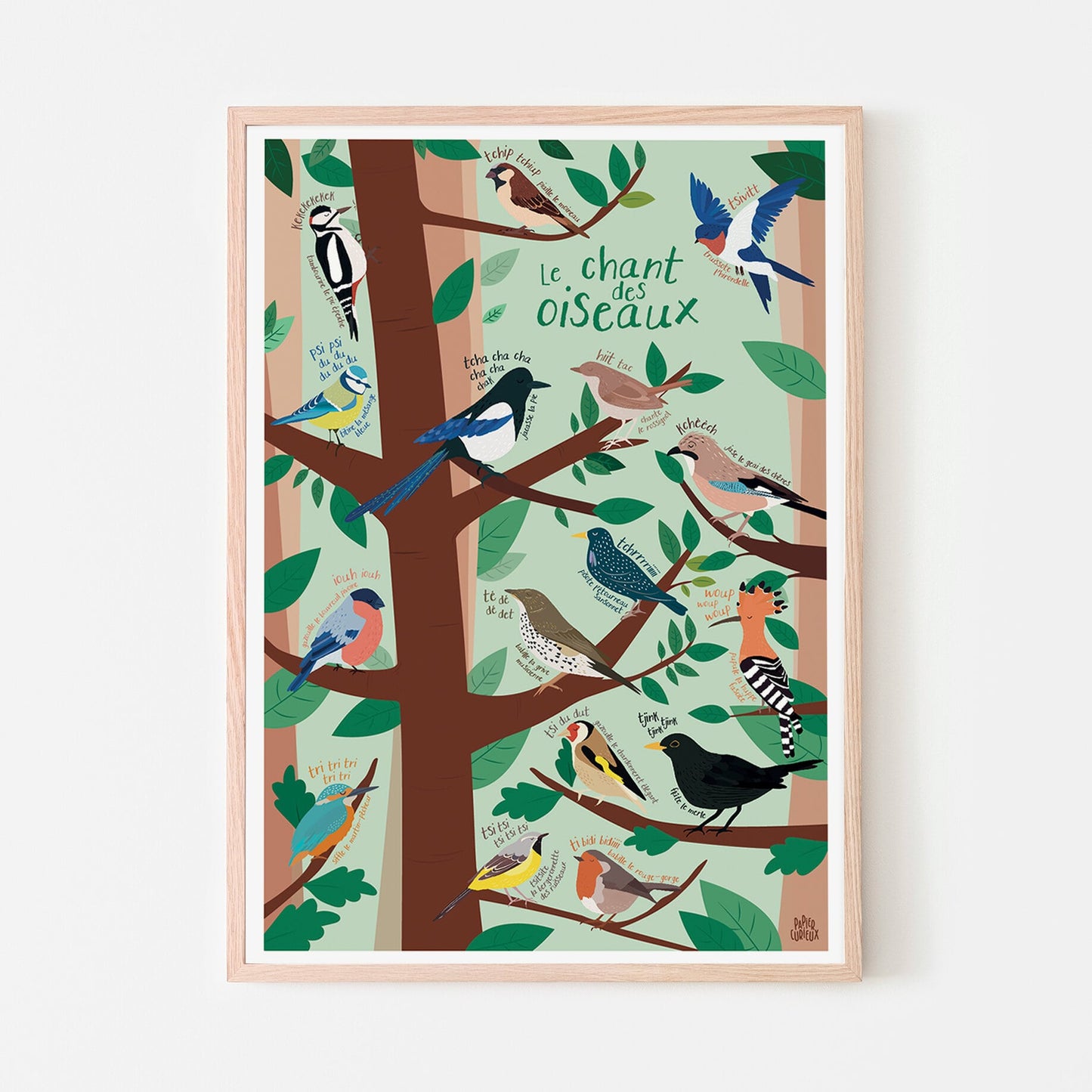 Affiche Illustrée A3 | Le chant des oiseaux