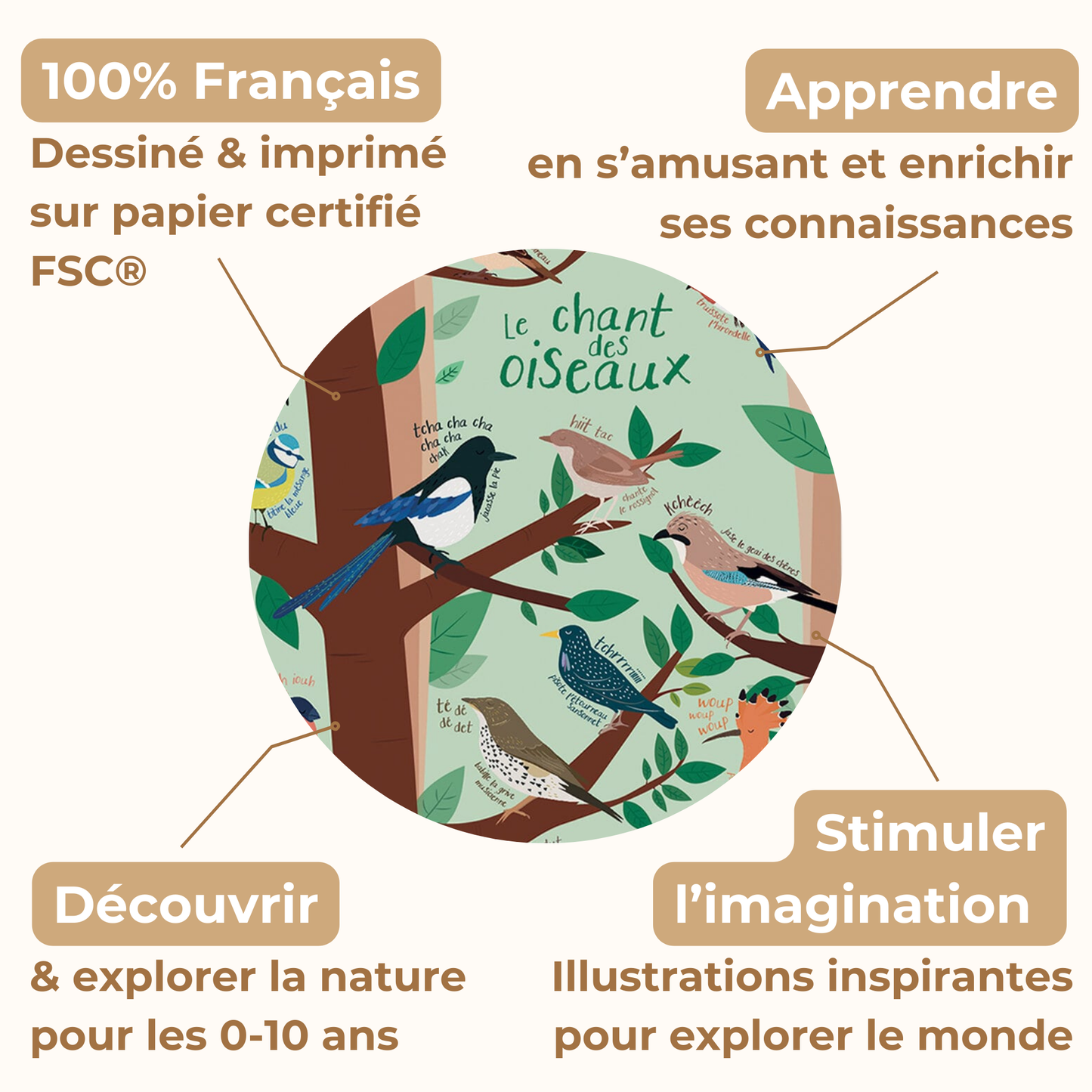 Affiche Illustrée A3 | Le chant des oiseaux