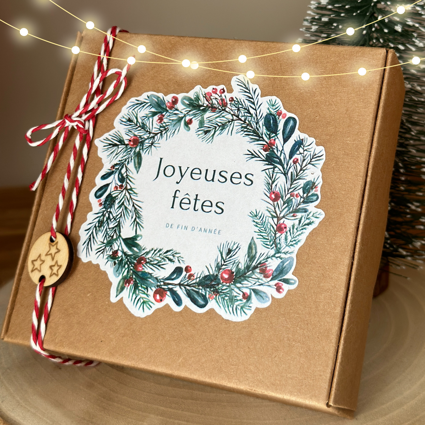 Boîte Cadeau de Noël 🎁