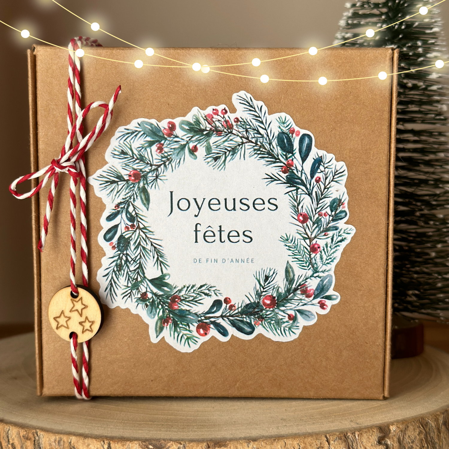 Boîte Cadeau de Noël 🎁