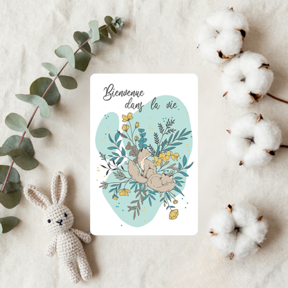 Cartes de Naissance