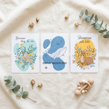 Cartes de Naissance