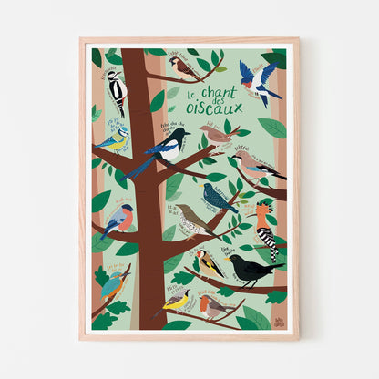 Affiche Illustrée A3 | Le chant des oiseaux
